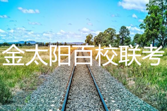 2019年5月24日金太陽百校聯考語文答案 ????