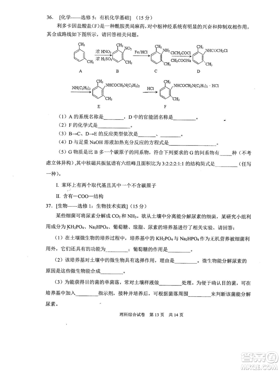 2019年河南省八市重點高中聯(lián)盟領軍考試第五次測評文理綜試題及答案