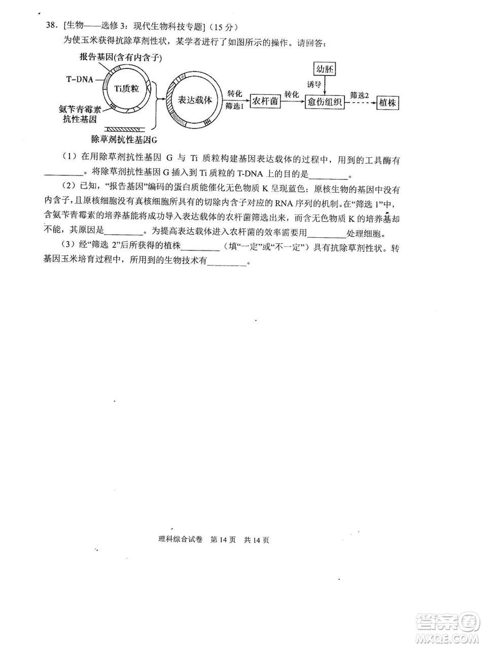 2019年河南省八市重點高中聯(lián)盟領軍考試第五次測評文理綜試題及答案