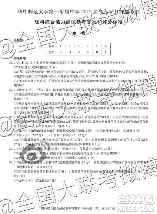 華師一附中2019屆高三5月押題考試理綜答案