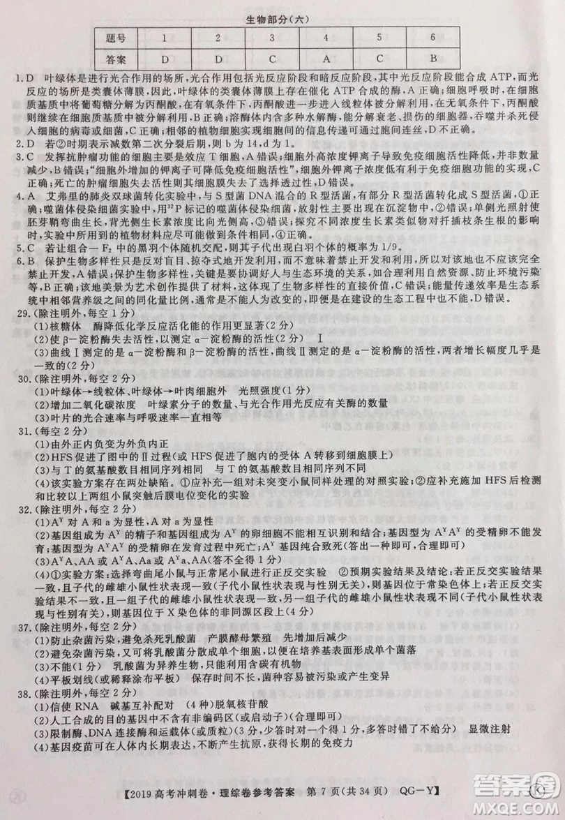 2019年普通高等學(xué)校招生全國統(tǒng)一考試沖刺預(yù)測卷六文理綜試題及答案