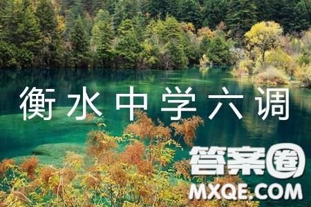 河北省衡水中學(xué)2019屆高三下學(xué)期六調(diào)考試語文試題及答案