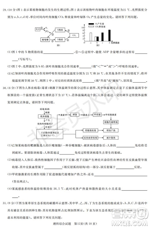2019年湖南省長沙一中師大附中雅禮中學長郡中學五月聯(lián)考理綜試卷答案