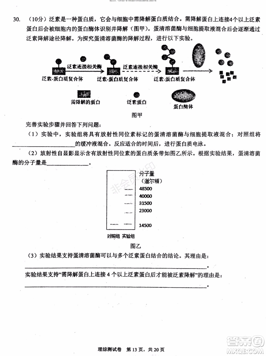 2019年贏鼎教育高考終極預(yù)測卷全國I卷理科綜合試題及答案