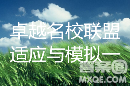2019年卓越名校聯(lián)盟適應(yīng)與模擬一語文試題及答案