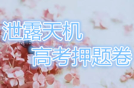 2019年泄露天機(jī)高考押題卷一理數(shù)試題及參考答案