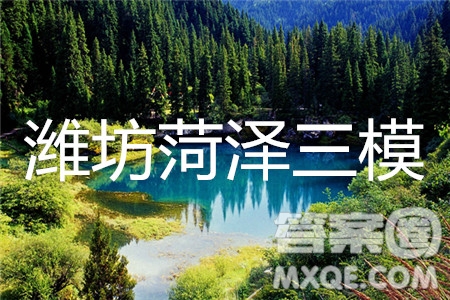 2019年濰坊菏澤三模語文試題及參考答案
