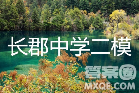 2019年湖南省長沙市長郡中學(xué)高考模擬卷二理數(shù)試題及參考答案