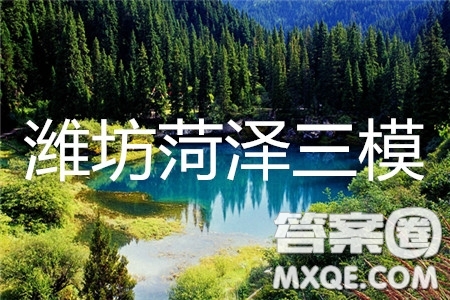 2019年濰坊菏澤三模理數(shù)試題及參考答案