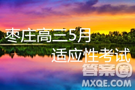 2019年棗莊高三5月適應性考試理數(shù)試題及參考答案