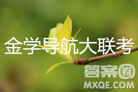 2019年金學(xué)導(dǎo)航大聯(lián)考三語文試題及答案