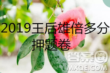 2019年王后雄倍多分押題卷理科數(shù)學(xué)試題及參考答案