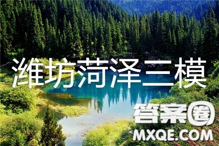 2019年濰坊菏澤三模理綜試題及參考答案