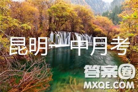 昆明一中2019屆高三第八次月考聯(lián)考理數(shù)答案