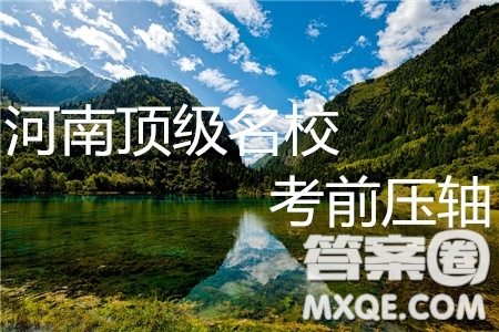 河南省頂級名校2019屆高三5月考前壓軸考試文數(shù)試題及答案