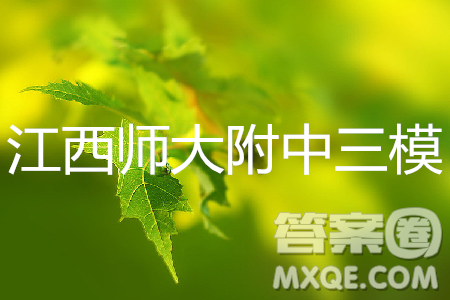 2019年江西師大附中高三年級(jí)三模文綜試卷答案