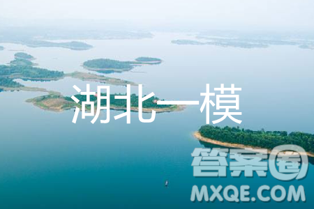 2019年湖北省高三招生全國(guó)統(tǒng)一考試模擬試題卷一英語(yǔ)答案
