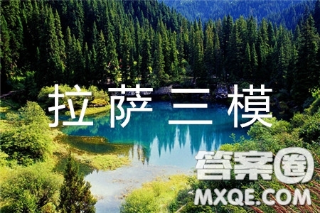 西藏拉薩市2019屆高三第三次模擬考試英語(yǔ)試題及參考答案