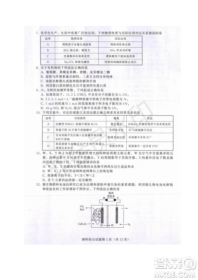 西藏拉薩市2019屆高三第三次模擬考試理綜試題及參考答案