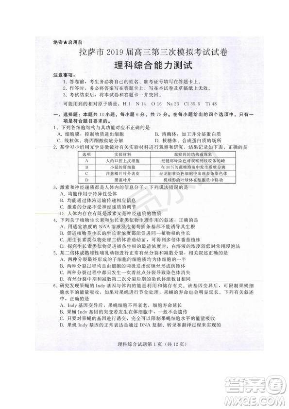 西藏拉薩市2019屆高三第三次模擬考試理綜試題及參考答案