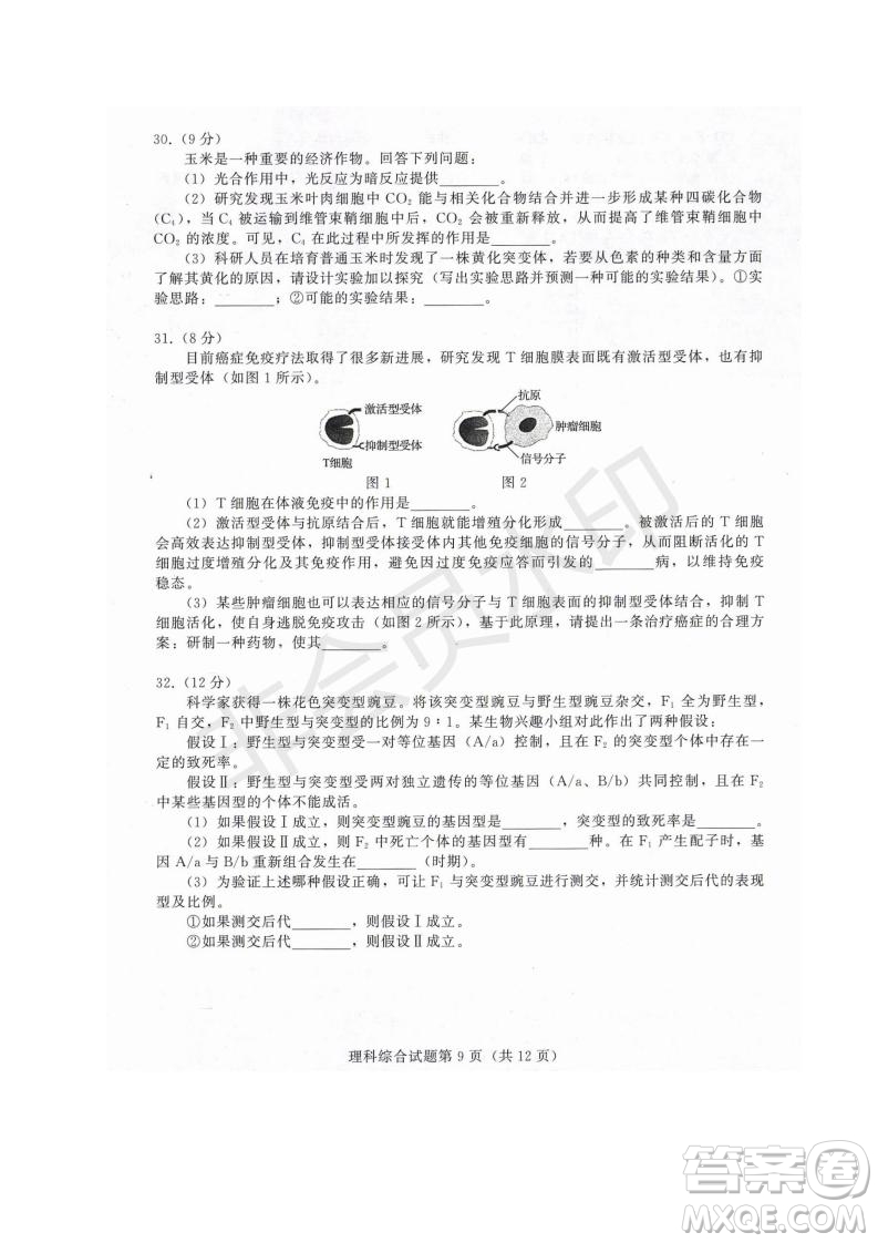 西藏拉薩市2019屆高三第三次模擬考試理綜試題及參考答案