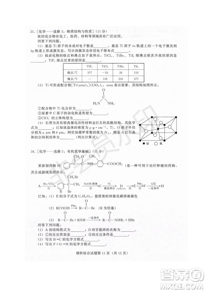西藏拉薩市2019屆高三第三次模擬考試理綜試題及參考答案