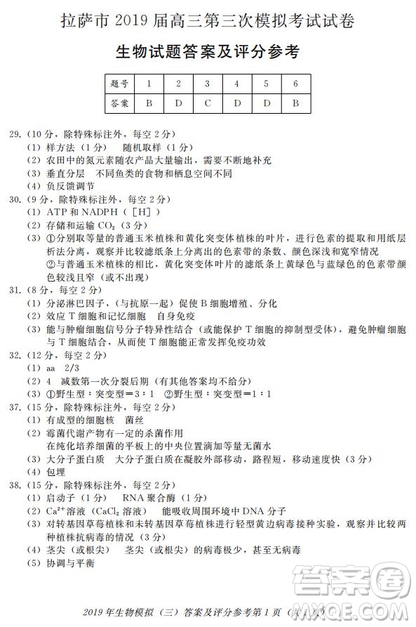 西藏拉薩市2019屆高三第三次模擬考試理綜試題及參考答案