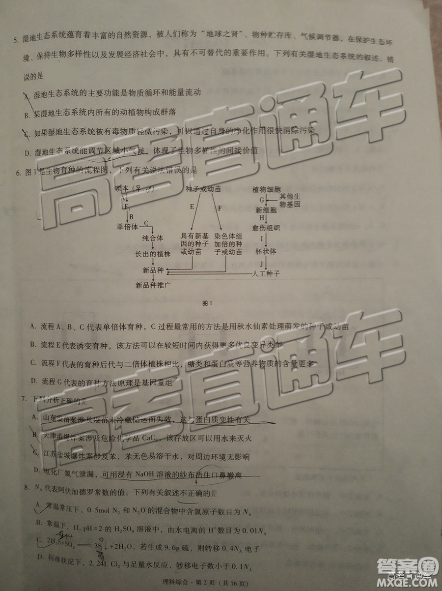 2019昆十中云天化中學聯(lián)合質(zhì)量檢測七理綜試題及參考答案