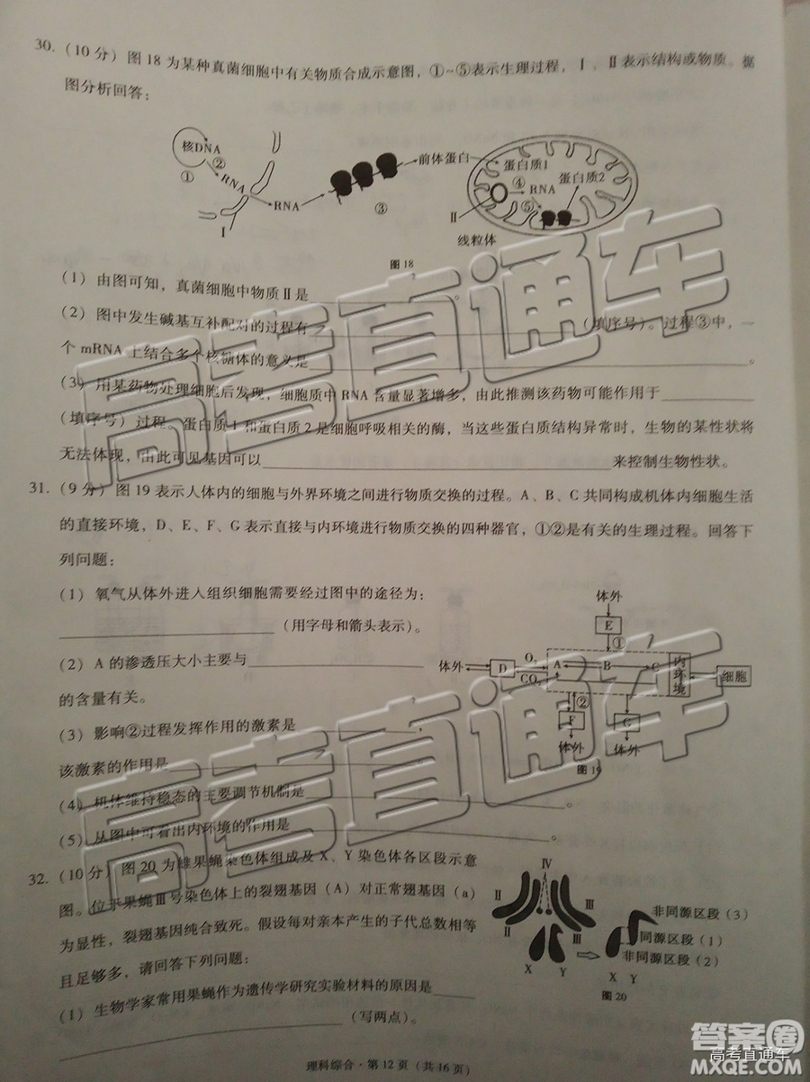 2019昆十中云天化中學聯(lián)合質(zhì)量檢測七理綜試題及參考答案