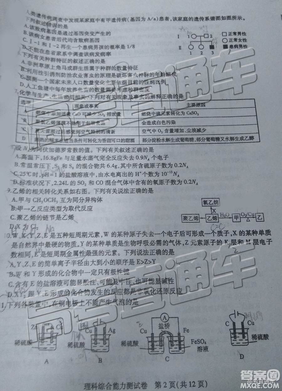 2019年?yáng)|北三省三校四模理綜試題及答案