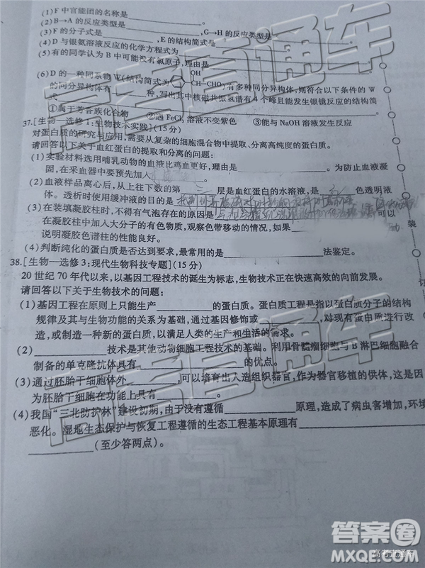2019年?yáng)|北三省三校四模理綜試題及答案