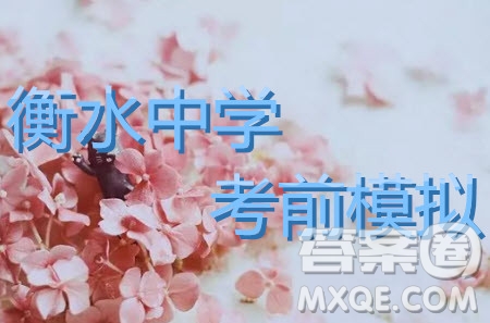 2019年衡水中學(xué)高三考前模擬卷語文試題及參考答案