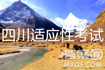 2019年四川適應(yīng)性考試語(yǔ)文試題及參考答案