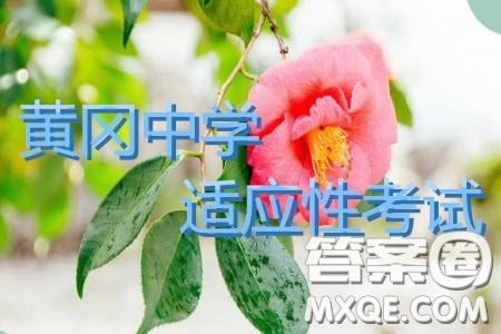 湖北省黃岡中學2019屆高三適應性考試語文試題及參考答案