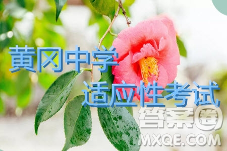 湖北省黃岡中學(xué)2019屆高三適應(yīng)性考試文綜試題及答案
