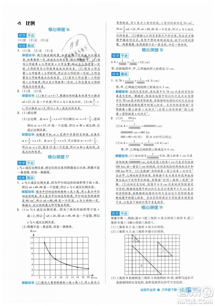 全品作業(yè)本2019年六年級(jí)數(shù)學(xué)下冊(cè)人教版參考答案
