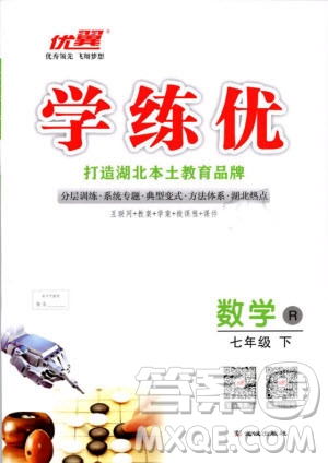 2019年優(yōu)翼叢書學(xué)練優(yōu)初中數(shù)學(xué)七年級下RJ人教版武漢專版參考答案