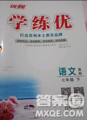 2019年優(yōu)翼學(xué)練優(yōu)學(xué)科思維訓(xùn)練法七年級(jí)語(yǔ)文下冊(cè)RJ人教版貴州專版參考答案