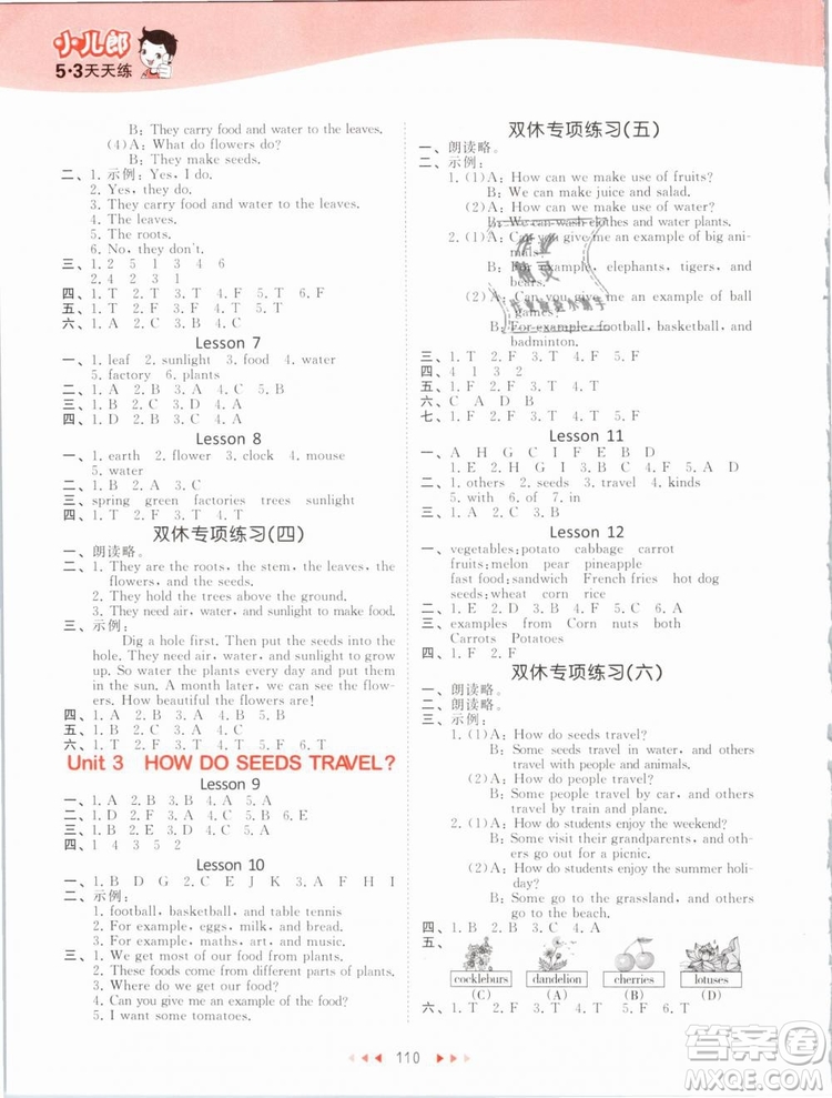 小兒郎2019年53天天練五年級下冊英語BJ北京版參考答案