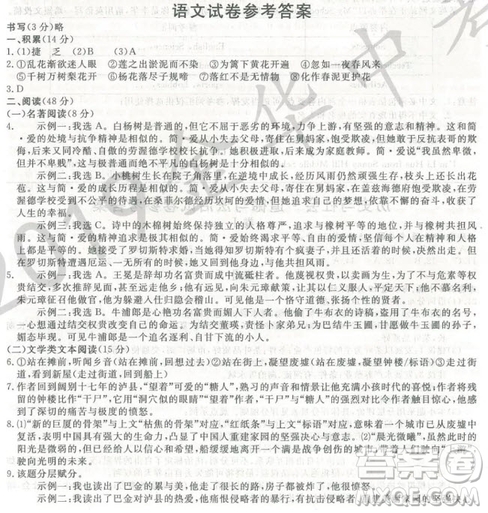 2019年浙江省金華市中考語(yǔ)文試卷真題及答案
