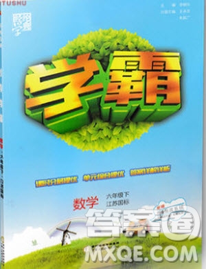 2019版經(jīng)綸學(xué)典學(xué)霸小學(xué)數(shù)學(xué)六年級下冊江蘇國標(biāo)蘇教版參考答案