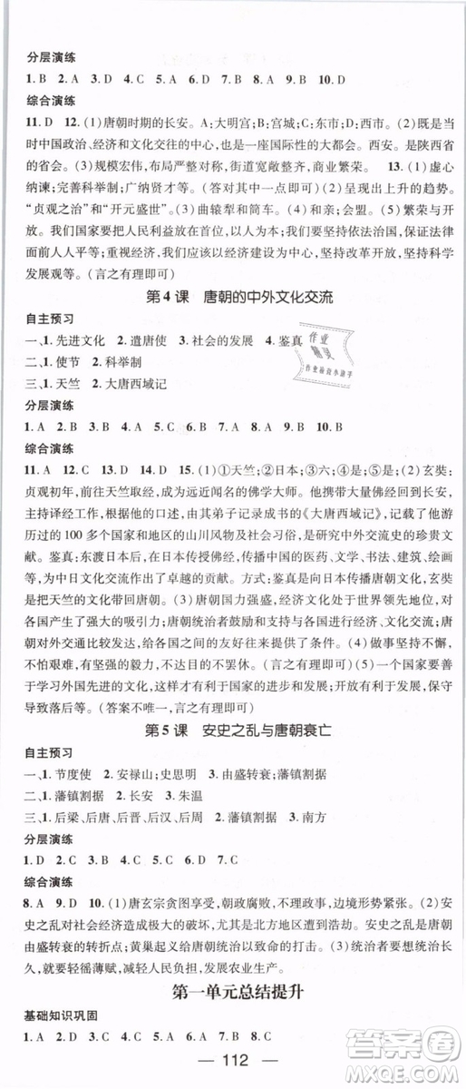 2019年名師測(cè)控七年級(jí)歷史下冊(cè)RJ人教版參考答案