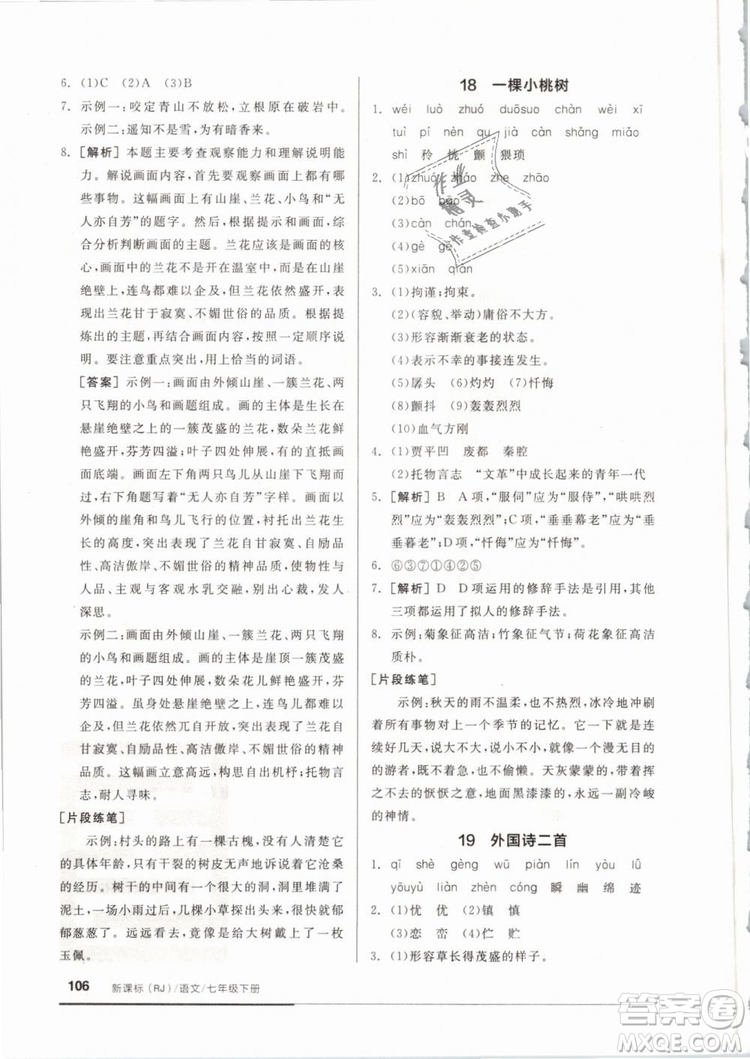 2019年全品基礎(chǔ)小練習(xí)七年級(jí)下冊(cè)語(yǔ)文人教版RJ參考答案