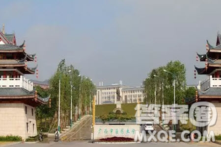 2020高考488分左右能上什么大學(xué) 488分文理科能報哪些學(xué)校