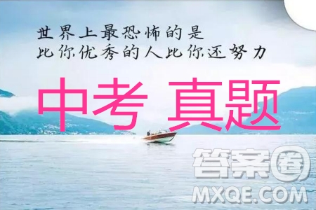 2019年蘇州市中考化學試題及參考答案