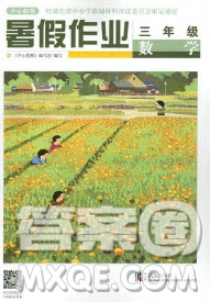 武漢出版社2019秋開心假期暑假作業(yè)三年級數(shù)學人教版答案