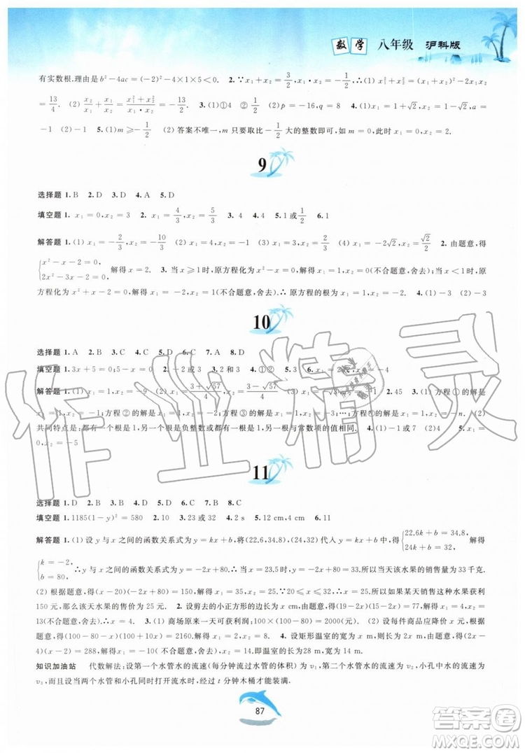 黃山書社2019版暑假作業(yè)八年級數(shù)學(xué)滬科版參考答案