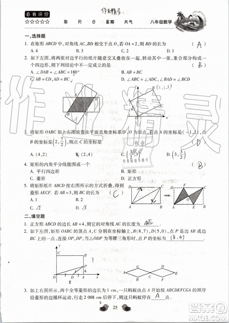 北京教育出版社2019年暑假樂園八年級數(shù)學(xué)人教版河南專用參考答案