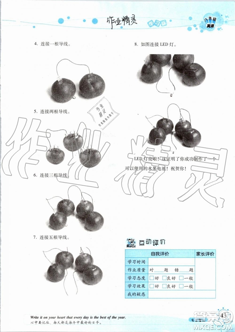 2019版暑假學(xué)習(xí)與生活假日知新八年級(jí)英語(yǔ)學(xué)習(xí)版參考答案