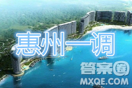 2020屆惠州一調(diào)理綜試卷及答案